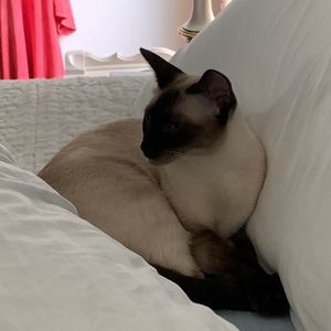 Meet your Posher, Katherine